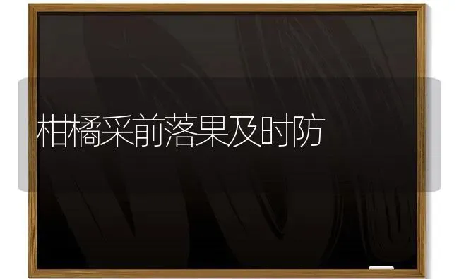 柑橘采前落果及时防 | 瓜果种植