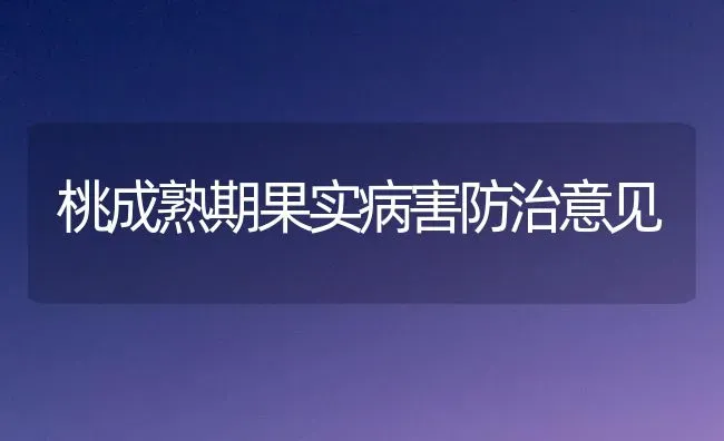 桃成熟期果实病害防治意见 | 瓜果种植