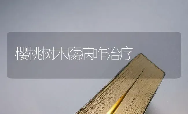 樱桃树木腐病咋治疗 | 瓜果种植