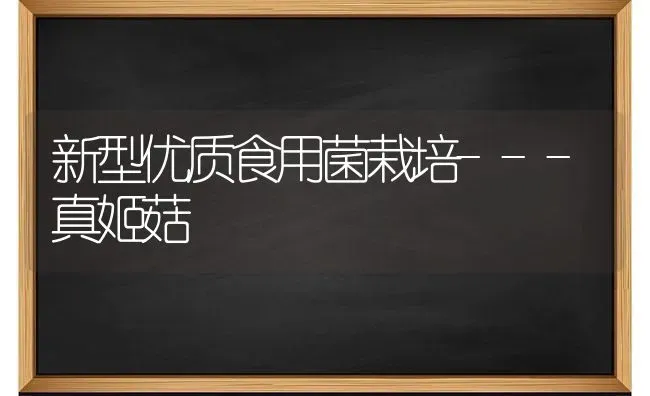 新型优质食用菌栽培---真姬菇 | 食用菌种植