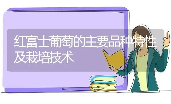 红富士葡萄的主要品种特性及栽培技术 | 瓜果种植