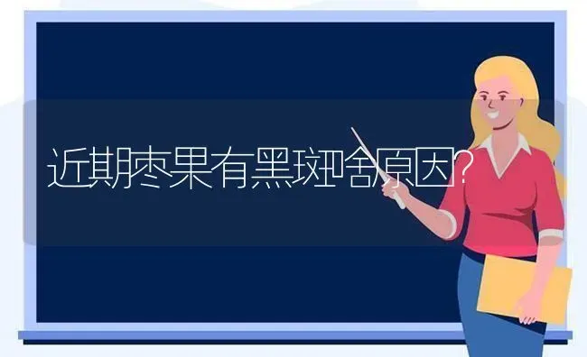 近期枣果有黑斑啥原因？ | 瓜果种植