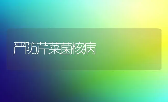 严防芹菜菌核病 | 蔬菜种植