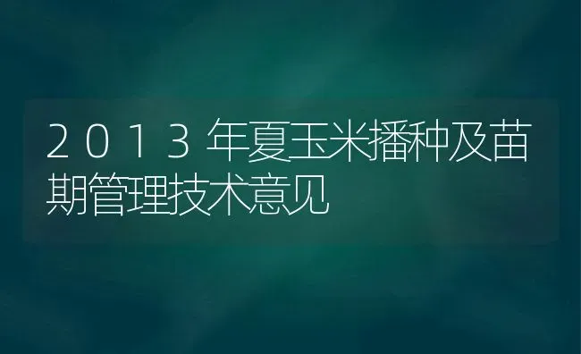 2013年夏玉米播种及苗期管理技术意见 | 粮油作物种植