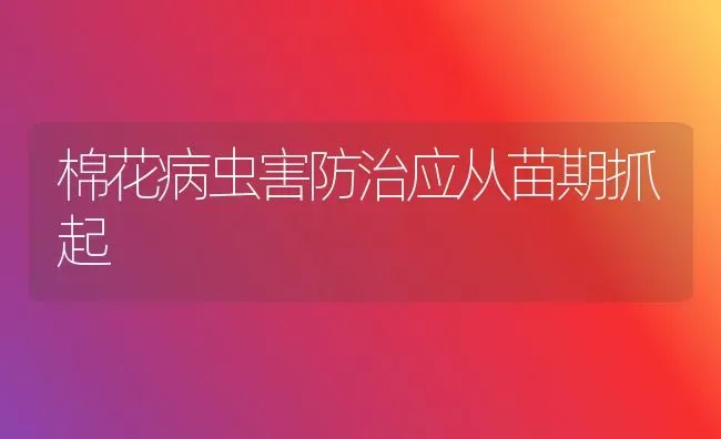 棉花病虫害防治应从苗期抓起 | 种植病虫害防治