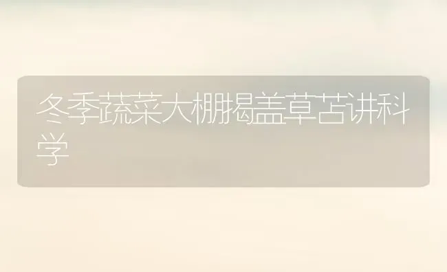 冬季蔬菜大棚揭盖草苫讲科学 | 蔬菜种植