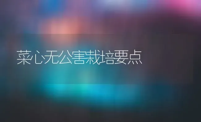 菜心无公害栽培要点 | 蔬菜种植