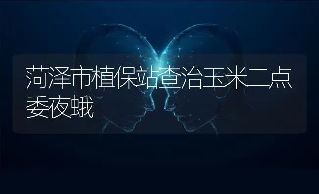 菏泽市植保站查治玉米二点委夜蛾 | 粮油作物种植