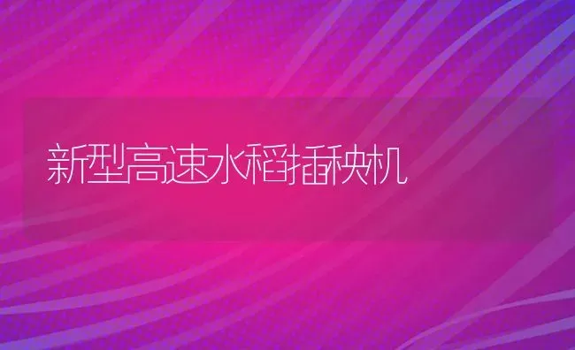 新型高速水稻插秧机 | 粮油作物种植