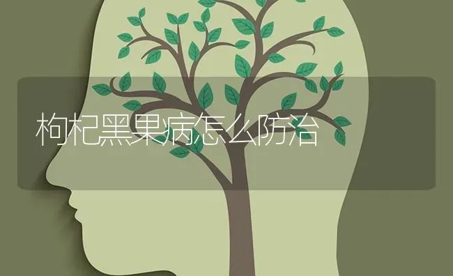 枸杞黑果病怎么防治 | 瓜果种植