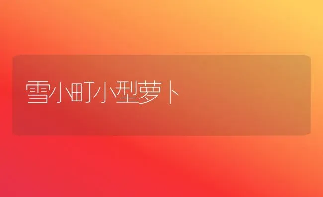 雪小町小型萝卜 | 蔬菜种植