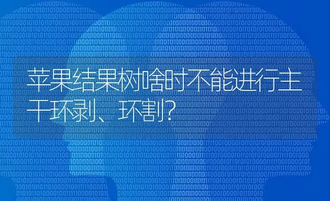 苹果结果树啥时不能进行主干环剥、环割？ | 瓜果种植