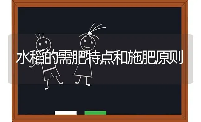 水稻的需肥特点和施肥原则 | 粮油作物种植