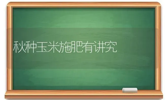 秋种玉米施肥有讲究 | 种植肥料施肥