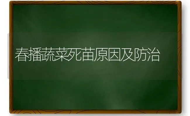 春播蔬菜死苗原因及防治 | 蔬菜种植