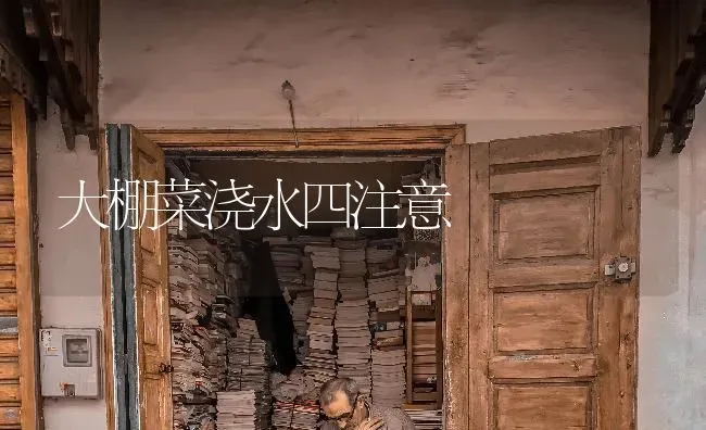 大棚菜浇水四注意 | 蔬菜种植