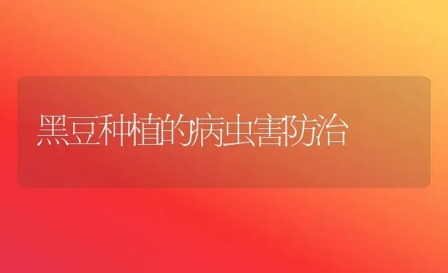 黑豆种植的病虫害防治 | 种植病虫害防治