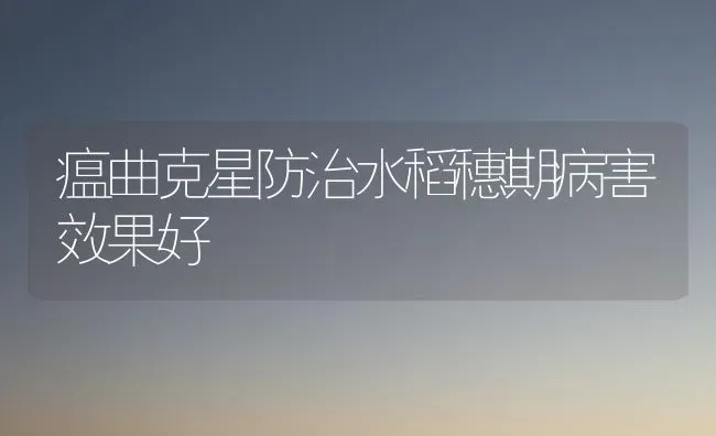 瘟曲克星防治水稻穗期病害效果好 | 瓜果种植