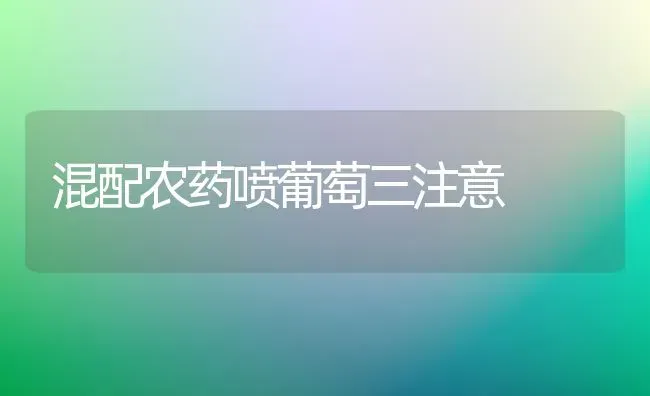 混配农药喷葡萄三注意 | 种植病虫害防治