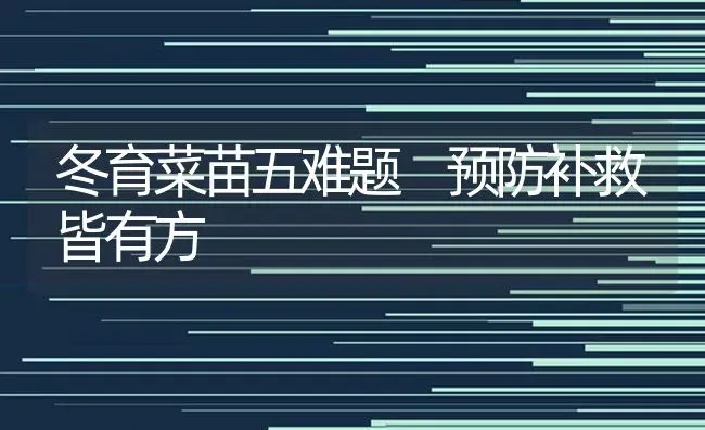冬育菜苗五难题 预防补救皆有方 | 蔬菜种植