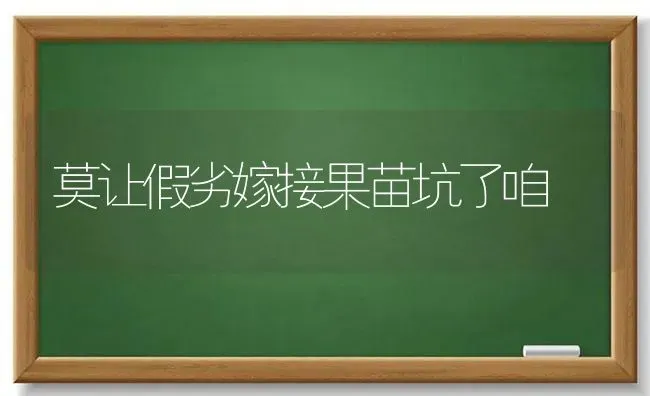 莫让假劣嫁接果苗坑了咱 | 瓜果种植