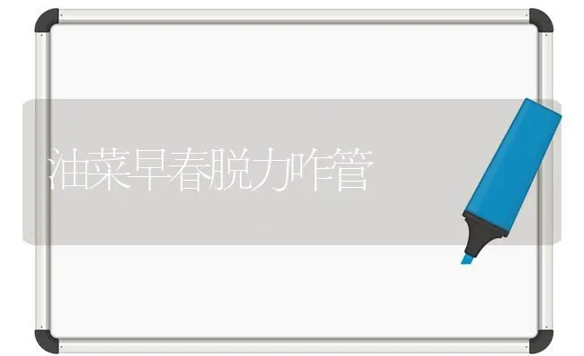 油菜早春脱力咋管 | 粮油作物种植