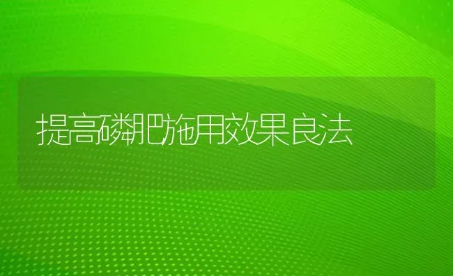 提高磷肥施用效果良法 | 瓜果种植