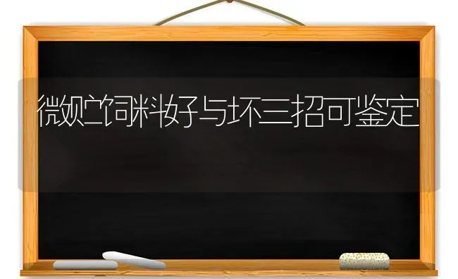 冬菜施肥为什么要以速效为主 | 种植肥料施肥