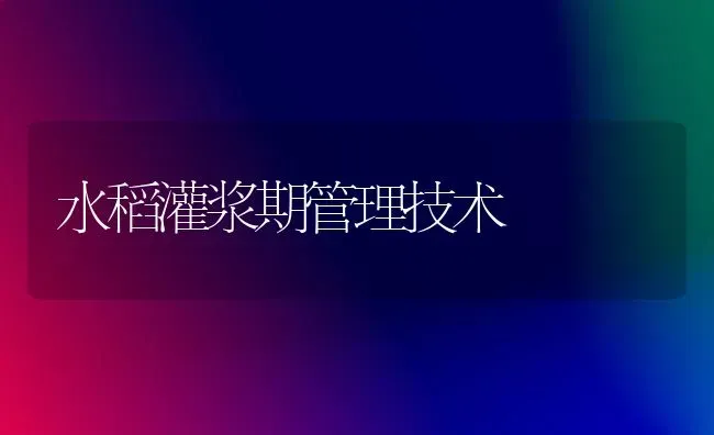 水稻灌浆期管理技术 | 粮油作物种植
