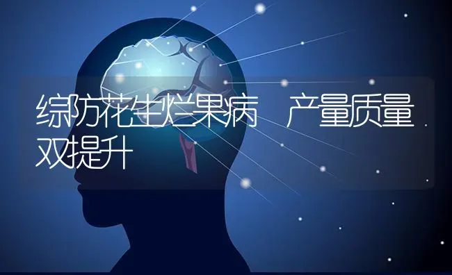 综防花生烂果病 产量质量双提升 | 瓜果种植