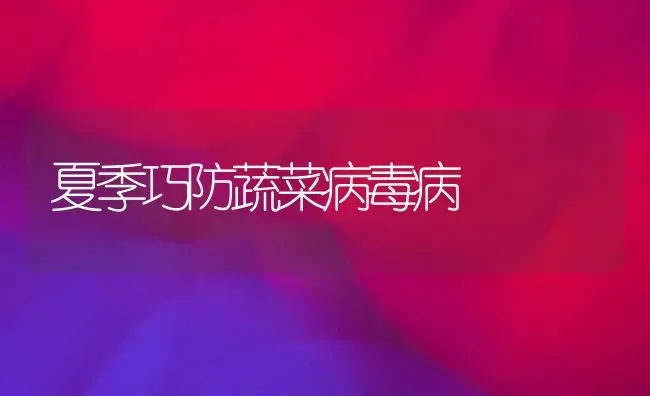 夏季巧防蔬菜病毒病 | 蔬菜种植
