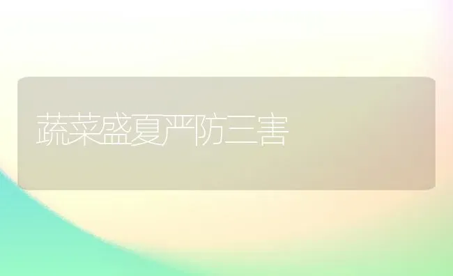 蔬菜盛夏严防三害 | 蔬菜种植