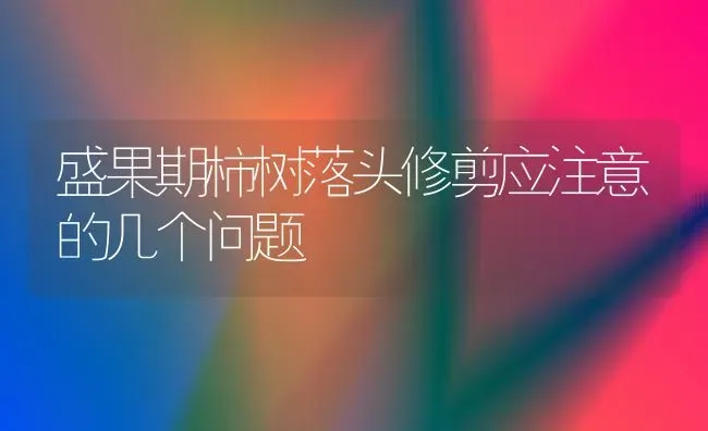 盛果期柿树落头修剪应注意的几个问题 | 瓜果种植