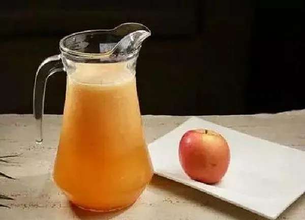 植物浇水|发酵的苹果水可以浇多肉吗
