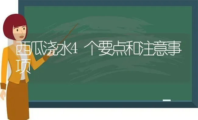 西瓜浇水4个要点和注意事项 | 瓜果种植