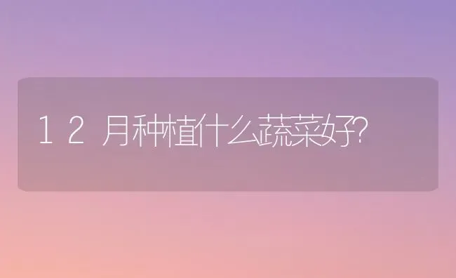 12月种植什么蔬菜好？ | 蔬菜种植