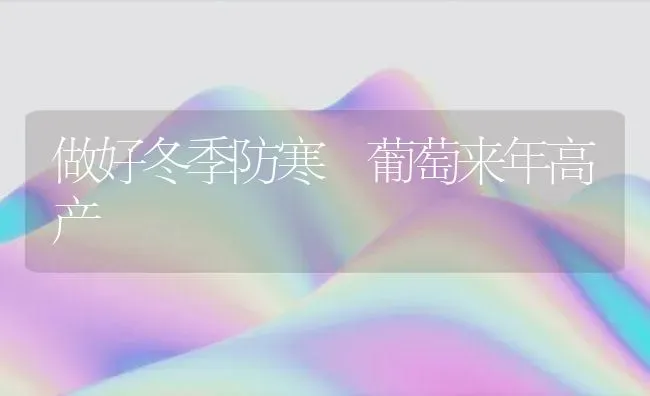 做好冬季防寒 葡萄来年高产 | 瓜果种植