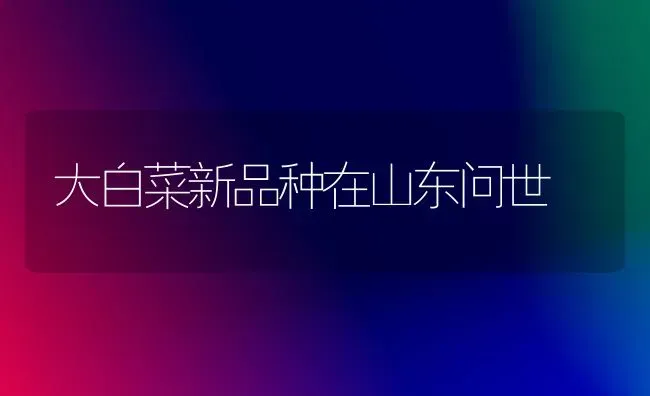 大白菜新品种在山东问世 | 蔬菜种植