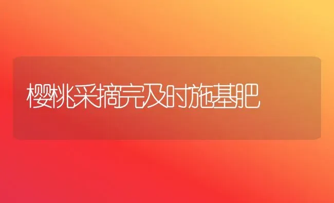 樱桃采摘完及时施基肥 | 瓜果种植