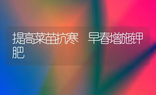 提高菜苗抗寒 早春增施钾肥 | 蔬菜种植