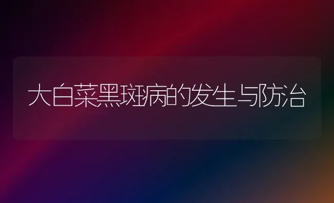 大白菜黑斑病的发生与防治 | 蔬菜种植