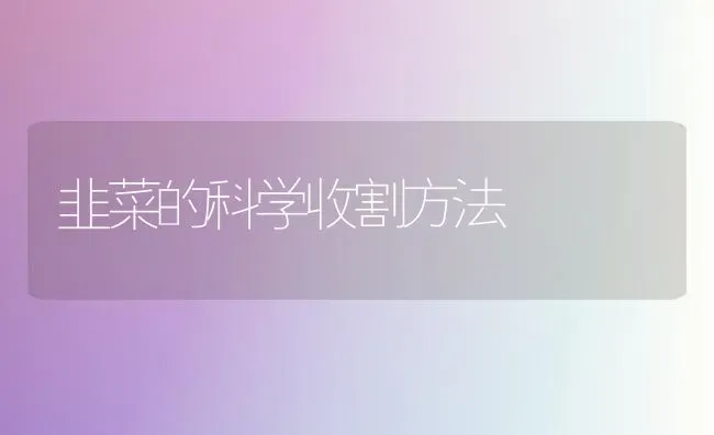 韭菜的科学收割方法 | 蔬菜种植