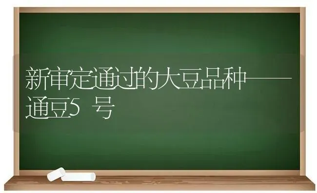 新审定通过的大豆品种——通豆5号 | 粮油作物种植