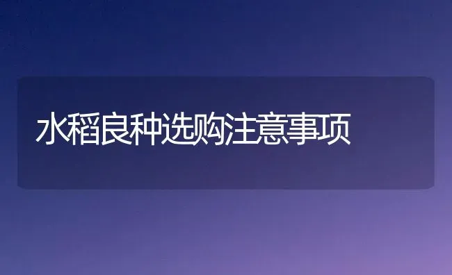 水稻良种选购注意事项 | 粮油作物种植