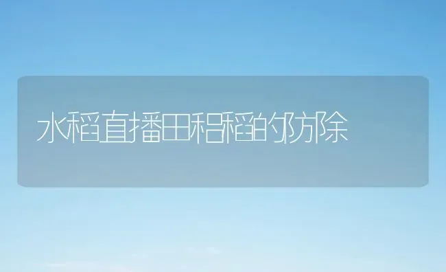 水稻直播田稆稻的防除 | 粮油作物种植