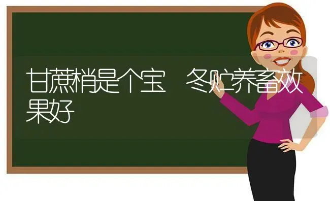 甘蔗梢是个宝 冬贮养畜效果好 | 瓜果种植