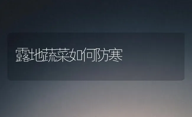 露地蔬菜如何防寒 | 蔬菜种植