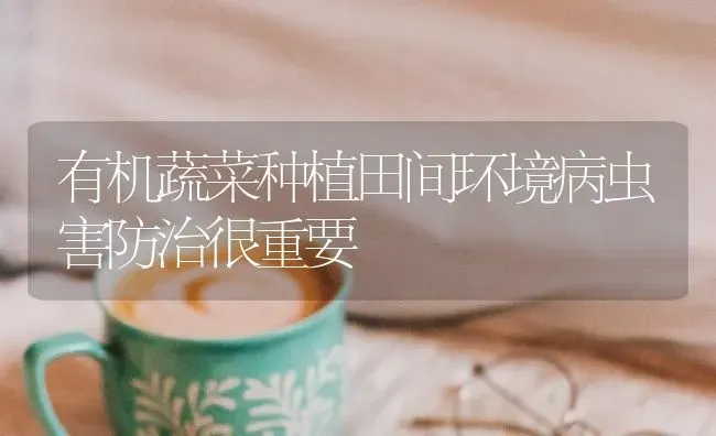 有机蔬菜种植田间环境病虫害防治很重要 | 蔬菜种植