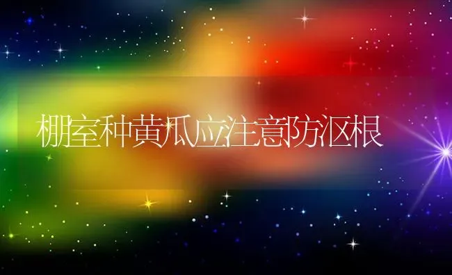 棚室种黄瓜应注意防沤根 | 蔬菜种植