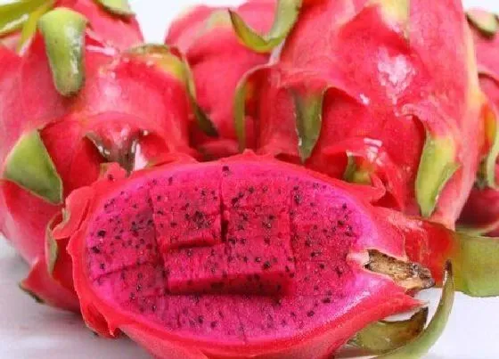食用常识|红心火龙果含糖量高吗 减肥和糖尿病人不可以吃